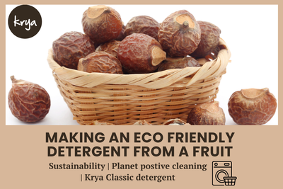 Making an eco friendly detergent from a fruit: the Krya Classic Detergent