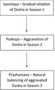 Natural process of dosha aggravation and balance