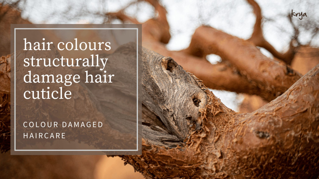 How Hair Colour & Hair Dyes can damage your hair